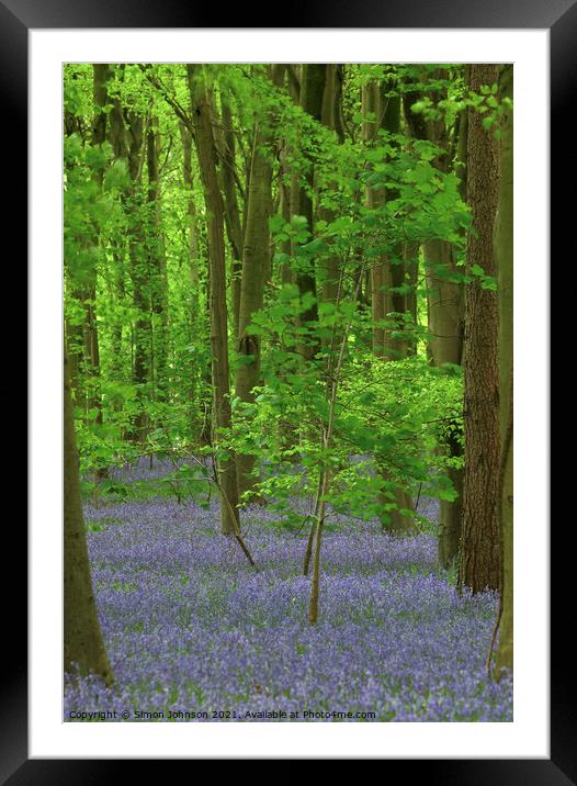 bluebells and Maple tree Framed Mounted Print by Simon Johnson