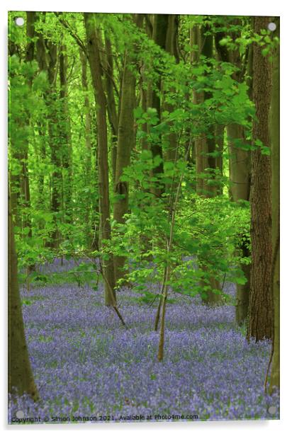 bluebells and Maple tree Acrylic by Simon Johnson