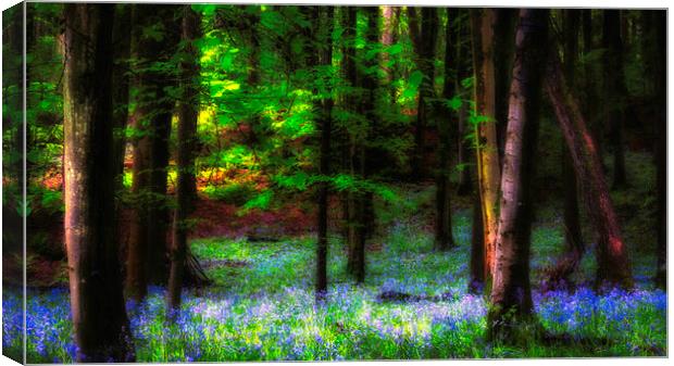 Bluebell woods Canvas Print by Kevin Elias