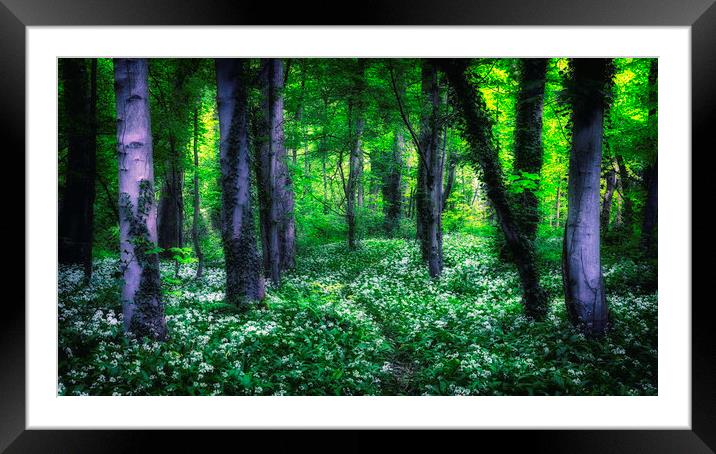 The woods Framed Mounted Print by Kevin Elias