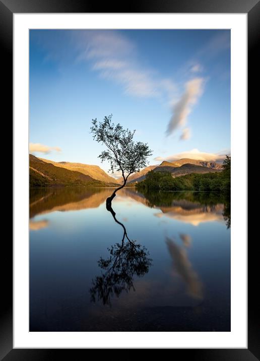 Evening at The Lone Tree, Llyn Padarn. Framed Mounted Print by Alan Le Bon