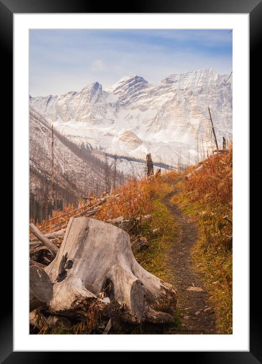 The Floe Lake Trail in Fall Framed Mounted Print by Shawna and Damien Richard