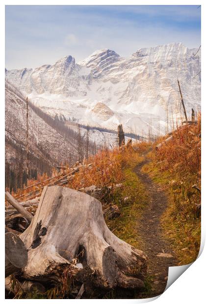 The Floe Lake Trail in Fall Print by Shawna and Damien Richard