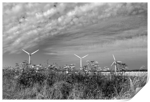 Westmill Wind Farm Print by Susan Snow