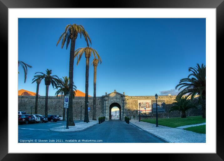 'Palm Sentry of Cascais Citadel' Framed Mounted Print by Steven Dale