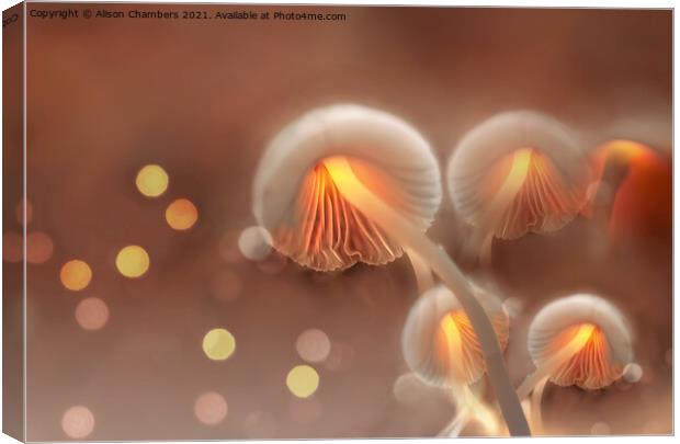 Bewitching Mushrooms Canvas Print by Alison Chambers