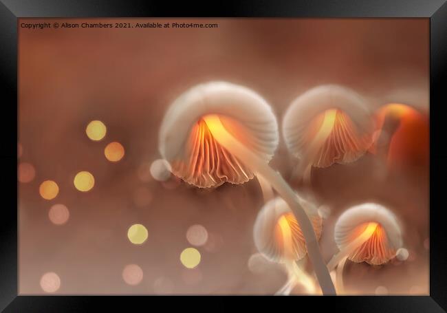 Bewitching Mushrooms Framed Print by Alison Chambers