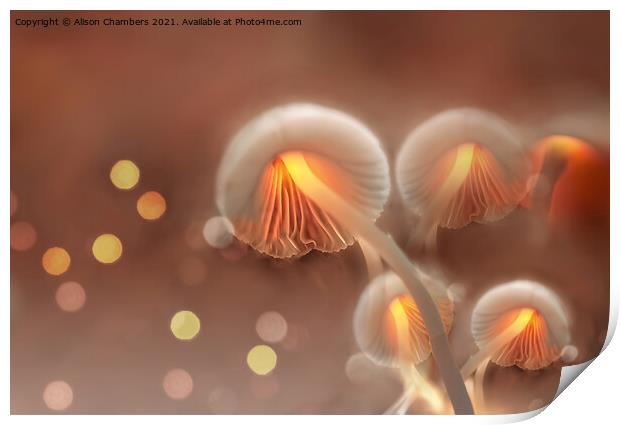 Bewitching Mushrooms Print by Alison Chambers