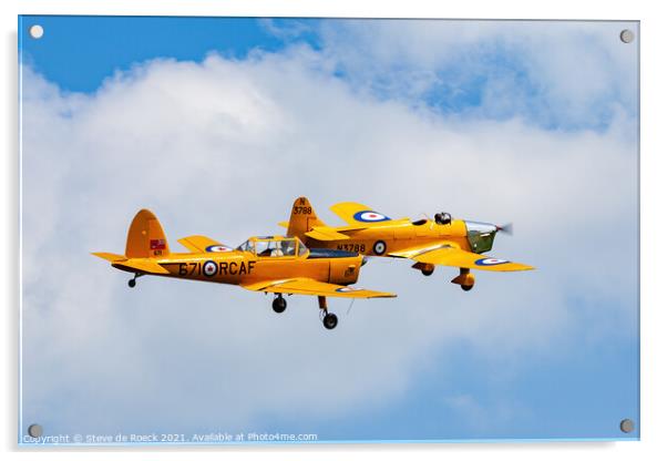 de Havilland Canada DHC-1 Chipmunk Acrylic by Steve de Roeck