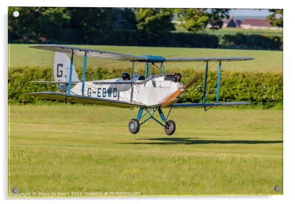 de Havilland DH 60X Acrylic by Steve de Roeck