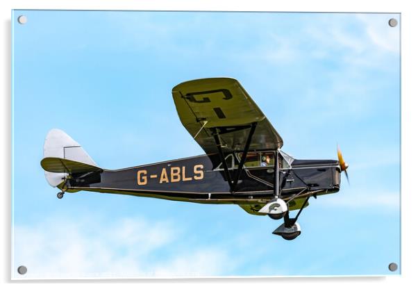 de Havilland DH80A Puss Moth Acrylic by Steve de Roeck