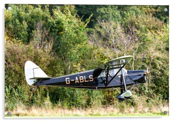 de Havilland DH 80A Puss Moth Acrylic by Steve de Roeck