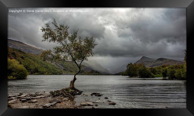 The Lone Tree, Llyn Padarn, LLanberis (panoramic) Framed Print by Derek Daniel