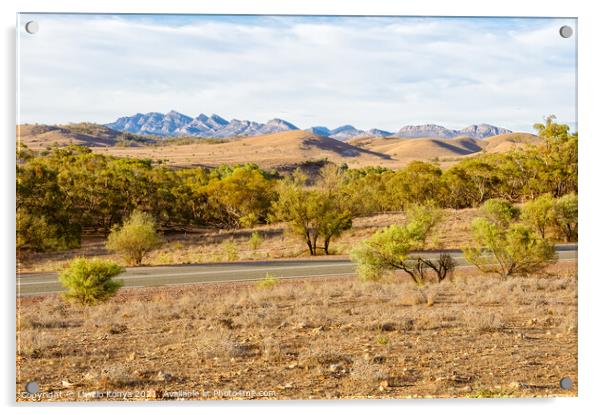 View from Rawnsley Lookout - Flinders Ranges  Acrylic by Laszlo Konya