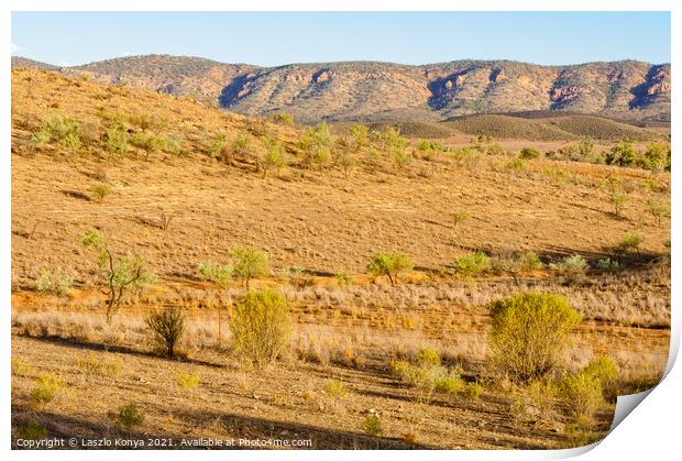 View from Rawnsley Lookout - Flinders Ranges  Print by Laszlo Konya