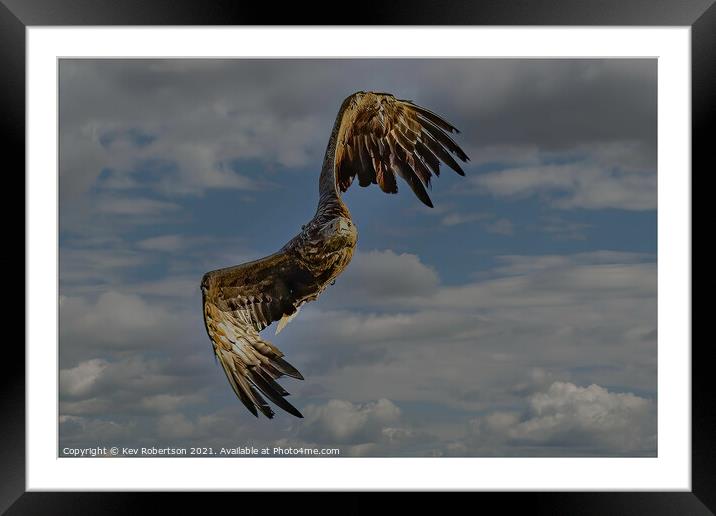 Atlantis the white tailed sea eagle Framed Mounted Print by Kev Robertson