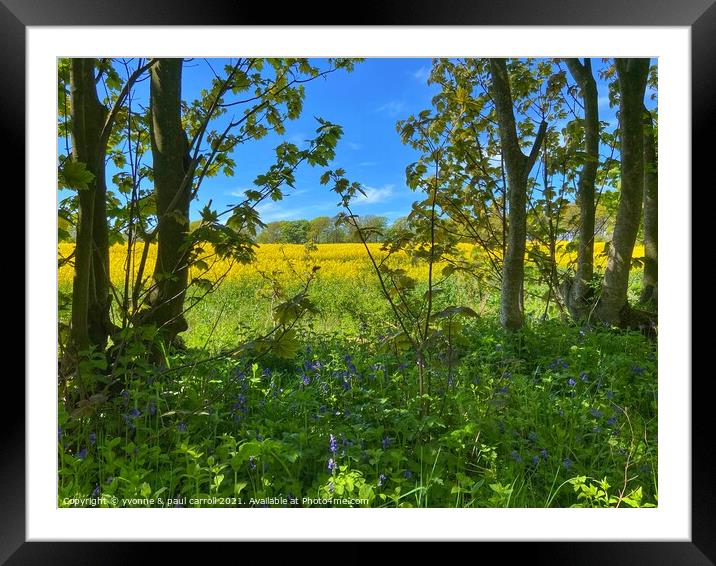 Rapeseed and bluebells Framed Mounted Print by yvonne & paul carroll