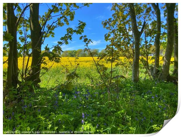 Rapeseed and bluebells Print by yvonne & paul carroll