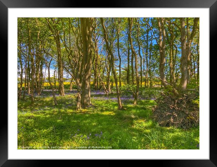 Rapeseed field behind bluebell woods Framed Mounted Print by yvonne & paul carroll