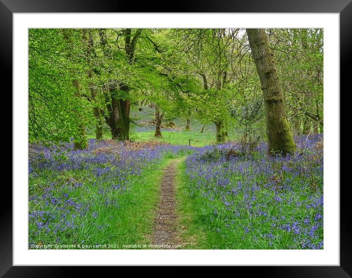 Beautiful bluebell woods in Scotland Framed Mounted Print by yvonne & paul carroll