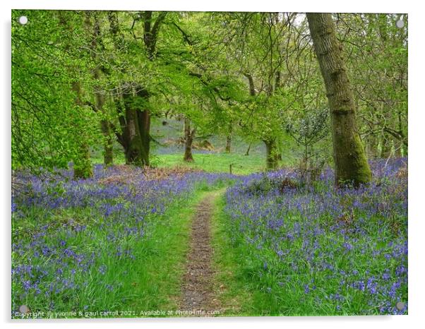 Beautiful bluebell woods in Scotland Acrylic by yvonne & paul carroll
