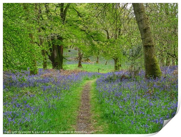 Beautiful bluebell woods in Scotland Print by yvonne & paul carroll