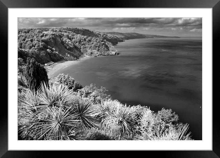 Oddicombe Beach Babbacombe Bay Devon Framed Mounted Print by Andy Evans Photos