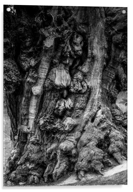Spooky tree trunk Acrylic by Jules D Truman