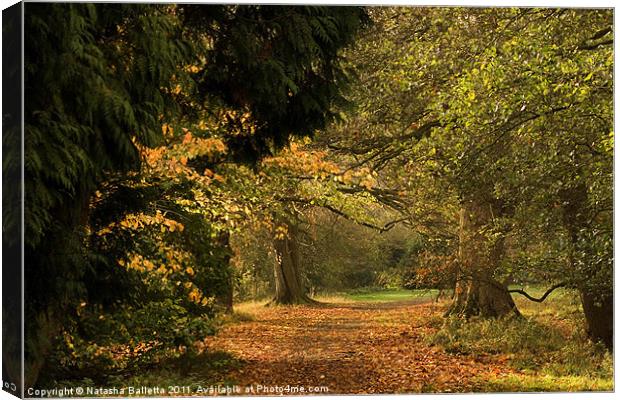 Autumn Pathway Canvas Print by Natasha Balletta