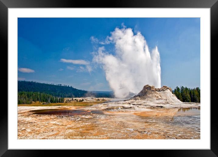 Castle Geyser in Yellowstone National Park, USA Framed Mounted Print by Delphimages Art