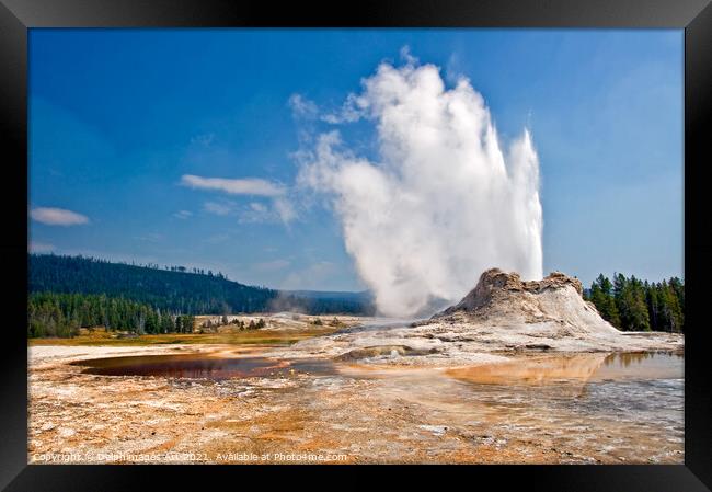 Castle Geyser in Yellowstone National Park, USA Framed Print by Delphimages Art