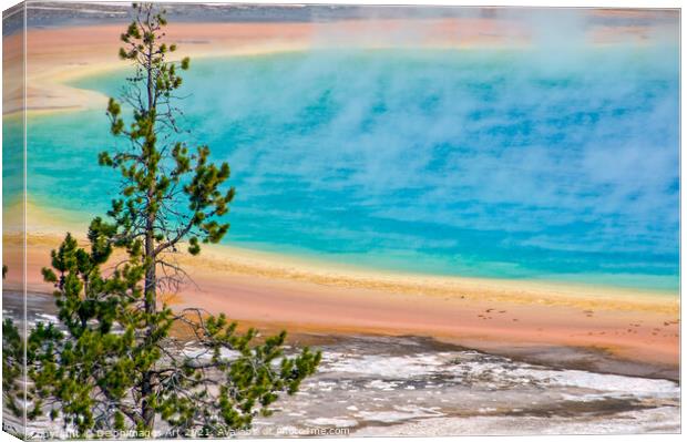 Yellowstone. Grand Prismatic spring Canvas Print by Delphimages Art
