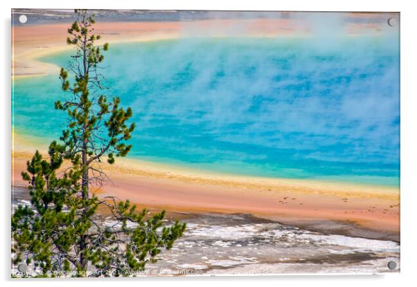 Yellowstone. Grand Prismatic spring Acrylic by Delphimages Art