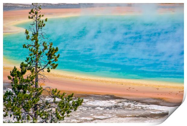 Yellowstone. Grand Prismatic spring Print by Delphimages Art