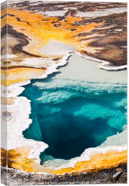Yellowstone National Park. Colourful hot spring Canvas Print by Delphimages Art