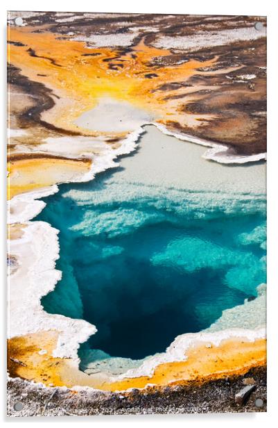 Yellowstone National Park. Colourful hot spring Acrylic by Delphimages Art