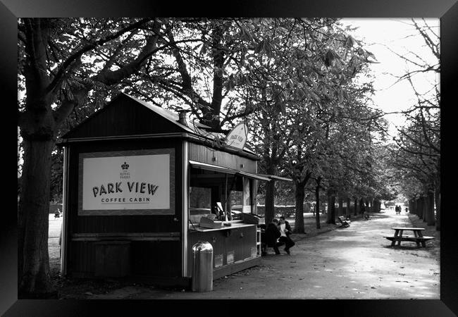 Greenwich Park View Framed Print by Jules D Truman