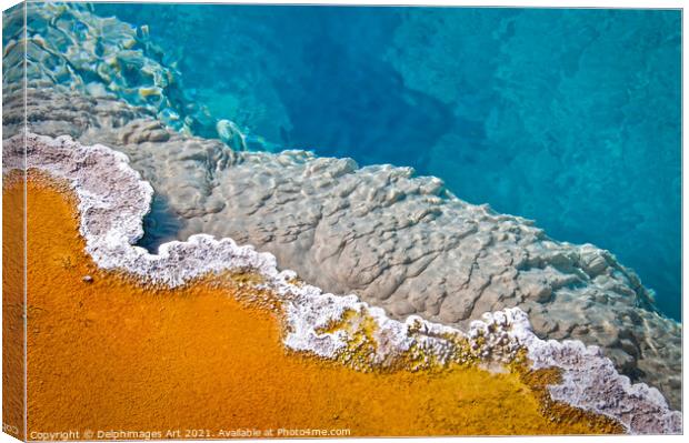 Yellowstone pool, detail of a hot spring Canvas Print by Delphimages Art