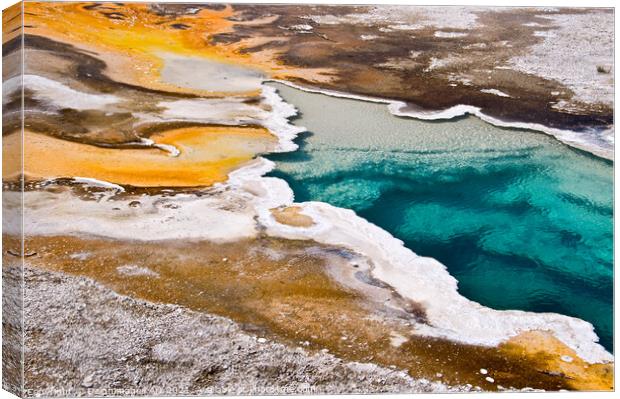 Yellowstone National Park. Hot spring, USA Canvas Print by Delphimages Art