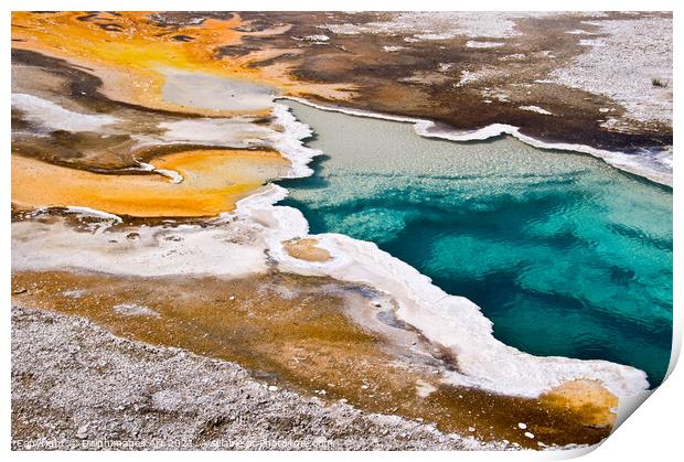 Yellowstone National Park. Hot spring, USA Print by Delphimages Art