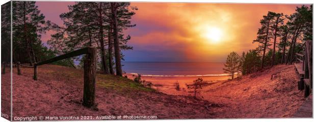 Colorful sunset over sea and pine forest Canvas Print by Maria Vonotna
