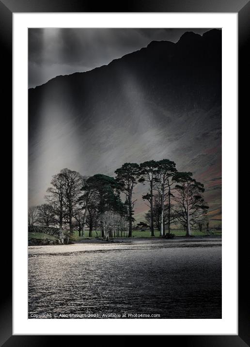 Trees at Buttermere Lake Framed Mounted Print by Alec Stewart