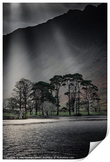 Trees at Buttermere Lake Print by Alec Stewart