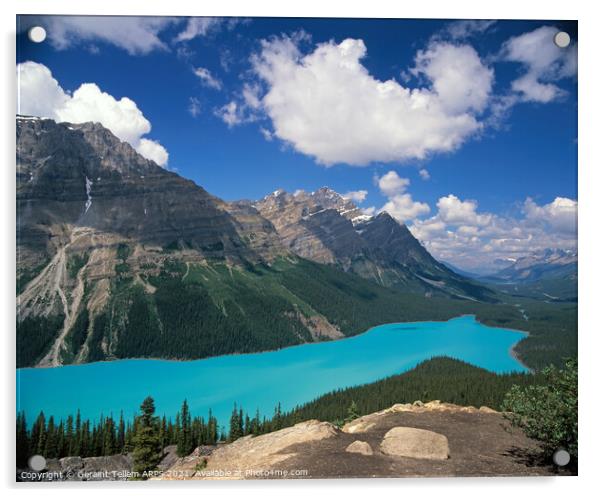 Peyto Lake, Banff National Park, Alberta, Canada Acrylic by Geraint Tellem ARPS