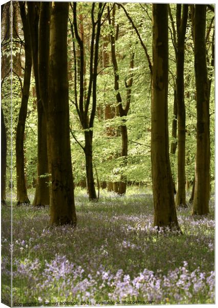 Spring Woodland Canvas Print by Simon Johnson