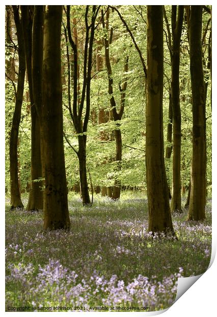 Spring Woodland Print by Simon Johnson