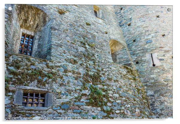 The facade of the castle of Fenis in Aosta Valley, Acrylic by daniele mattioda
