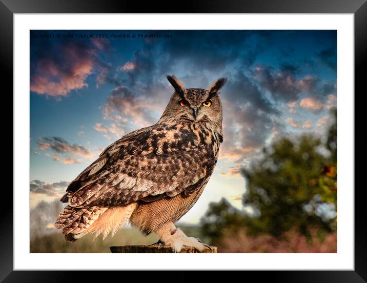 European Eagle Owl #1 Framed Mounted Print by Jules D Truman