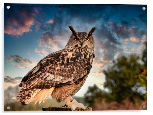 European Eagle Owl #1 Acrylic by Jules D Truman