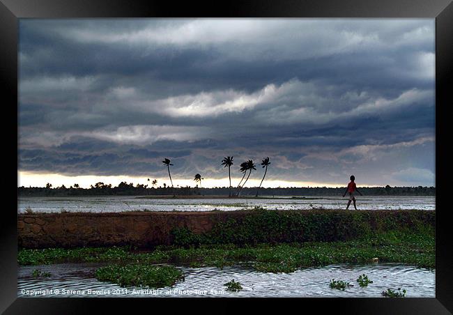 Boy Walking in a Storm, Kerala, India Framed Print by Serena Bowles